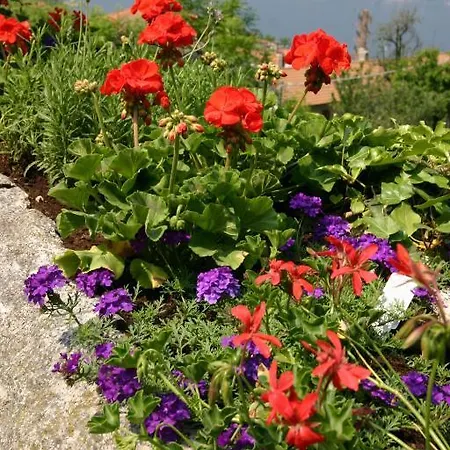 La Ruota Del Mulino 4*