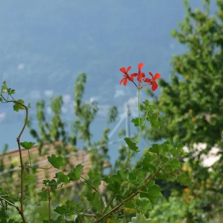 La Ruota Del Mulino Lägenhetshotell Nesso