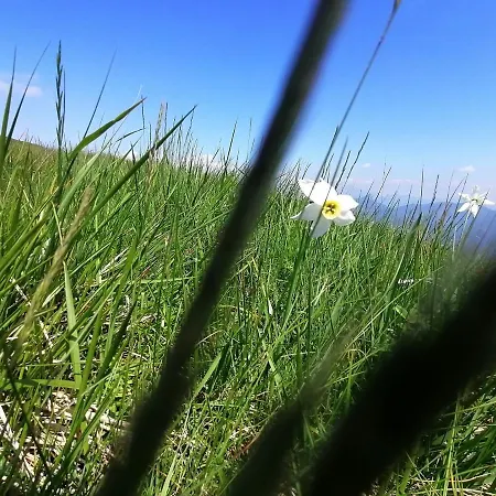 La Ruota Del Mulino Lägenhetshotell