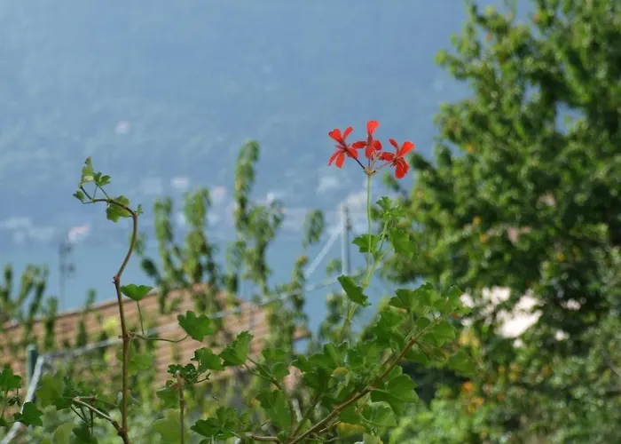 La Ruota Del Mulino Aparthotel Nesso