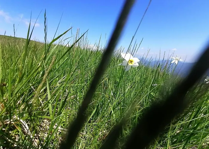 La Ruota Del Mulino Aparthotel